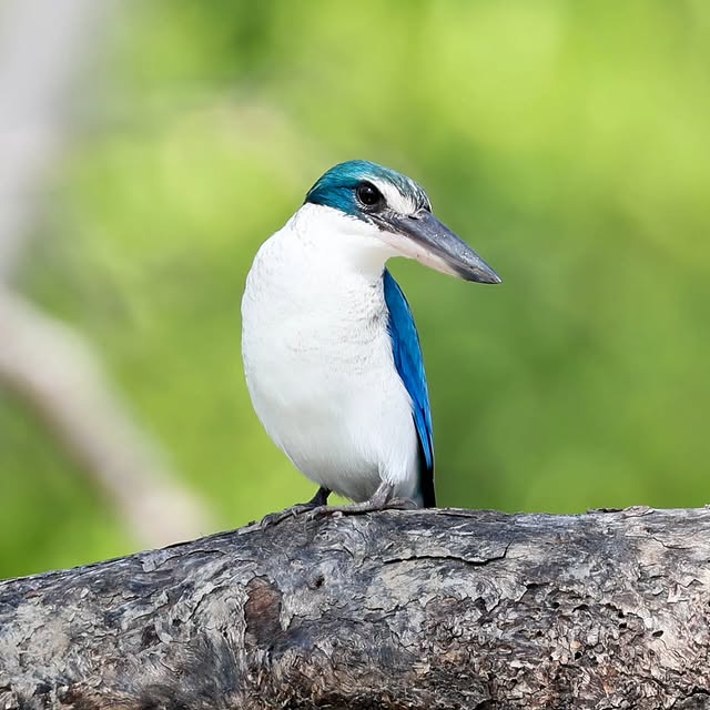  .....yland   'recent posts' 