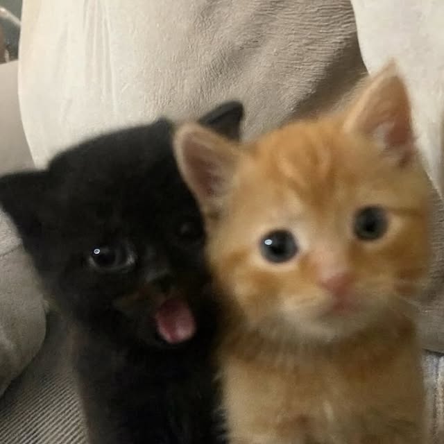  .....attos   'recent posts' 