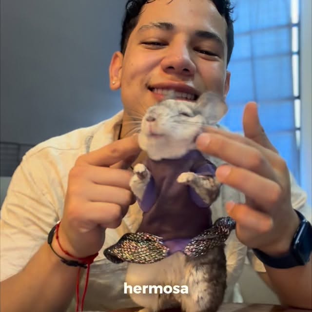  ........del_exito   'recent posts' 