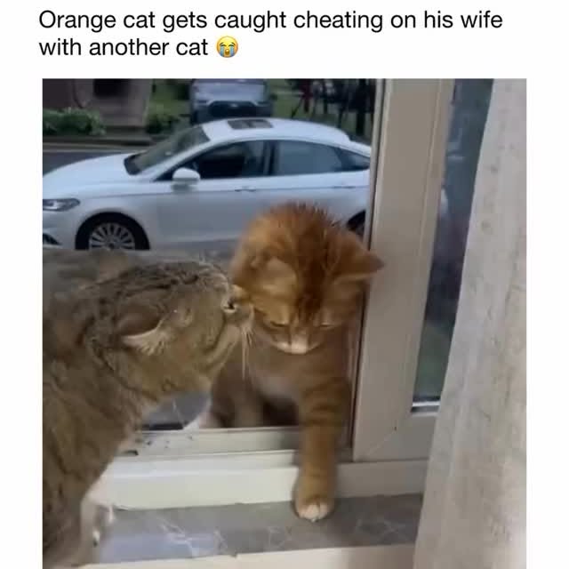  ......ctcars   'recent posts' 