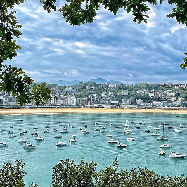  ......_viola   'recent posts' 