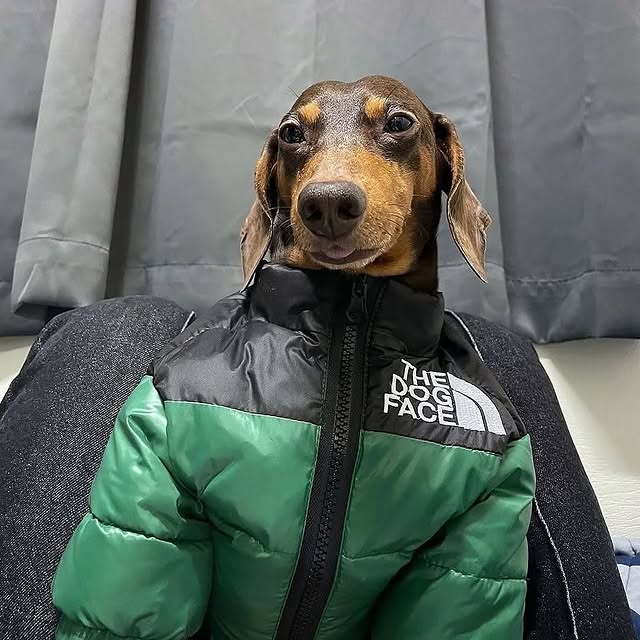  ..........fan.club_   'recent posts' 