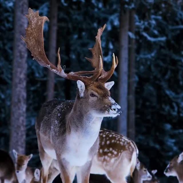  ......fehood   'recent posts' 