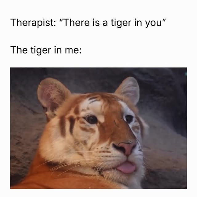  .....memes   'recent posts' 