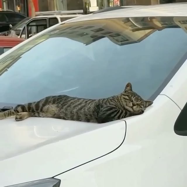  ......atclub   'recent posts' 