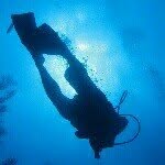 Hire .......diving_ influencer with 69.3k