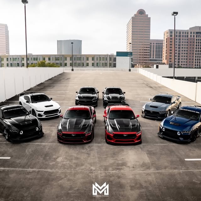  .......fanclub   'recent posts' 