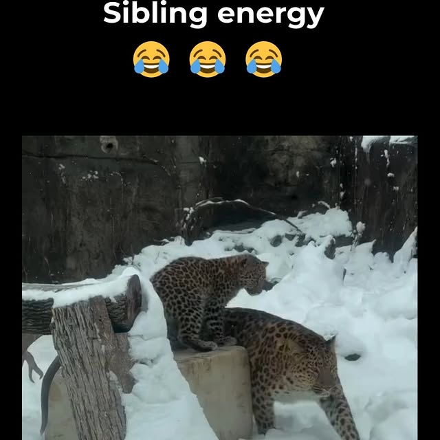  ........atitsbest   'recent posts' 