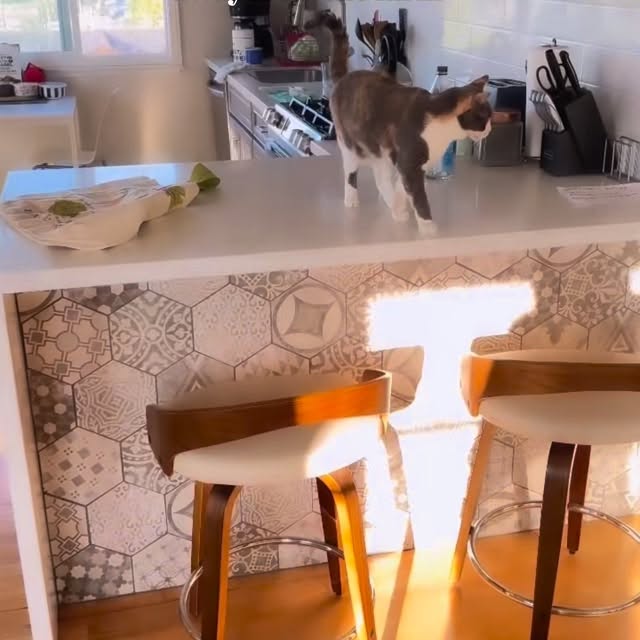  ......_diana   'recent posts' 