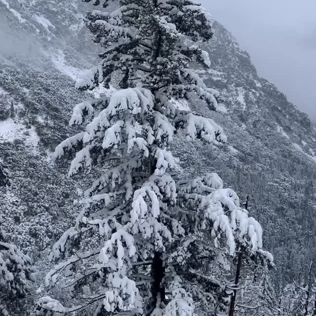  ..arn   'recent posts' 