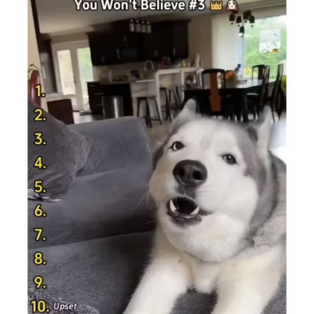  .....ibess   'recent posts' 