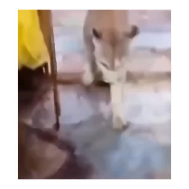  ........eos_fr_us   'recent posts' 