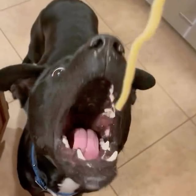  ....fday   'recent posts' 