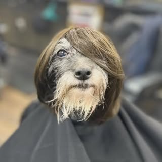 Hire ....mees influencer with 50.1k