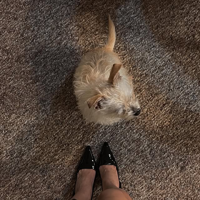  ......labarca   'recent posts' 