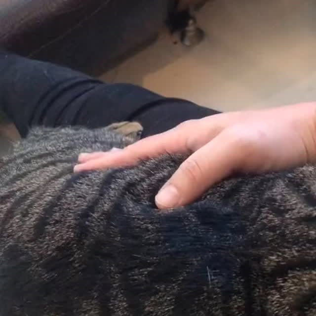  ....retie   'recent posts' 