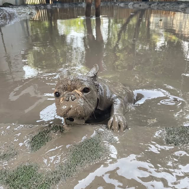  ..........ldogs_only   'recent posts' 