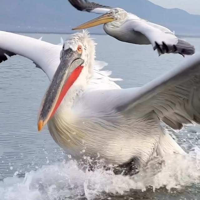  .....ation   'recent posts' 