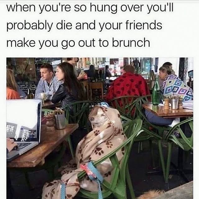  ......orable   'recent posts' 