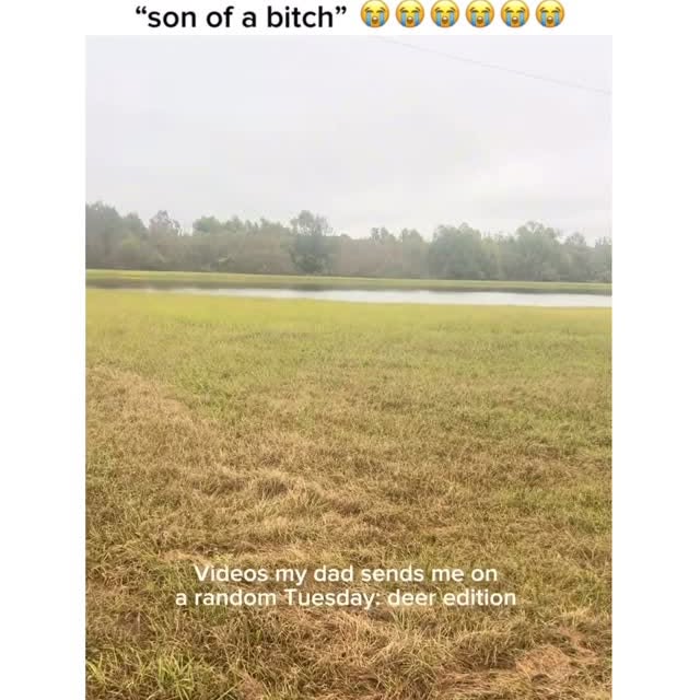  ..obe   'recent posts' 