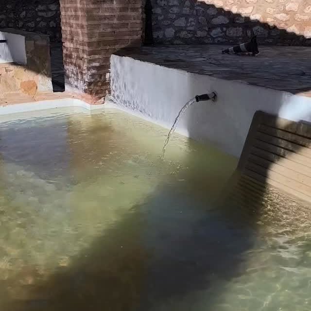  ........viajeros   'recent posts' 