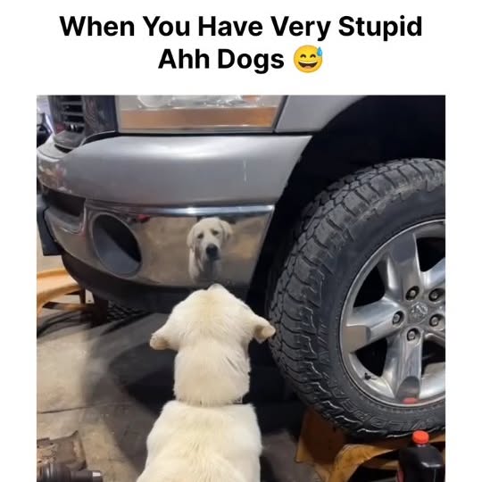  .....ibess   'recent posts' 