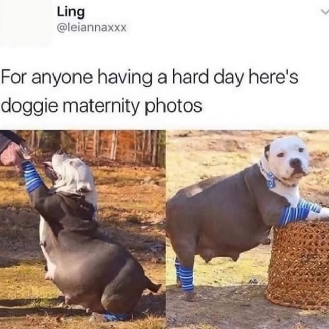  ......iends2   'recent posts' 