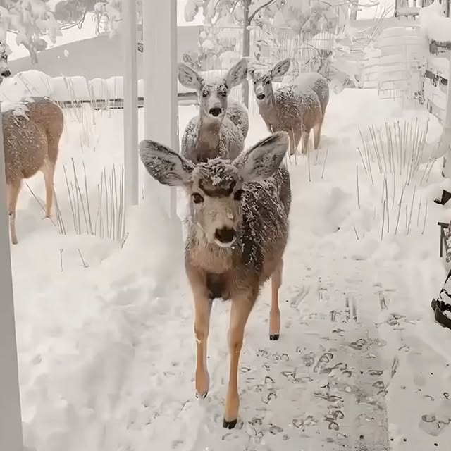  ........malsgram   'recent posts' 