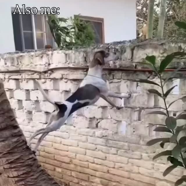  .......malshow   'recent posts' 