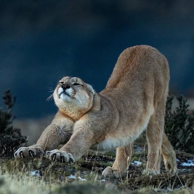  ......sfever   'recent posts' 