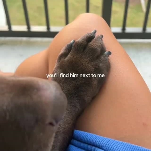  ....ofk9   'recent posts' 