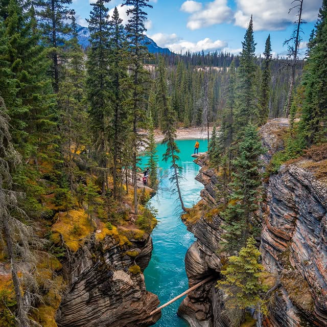  .........dventures   'recent posts' 