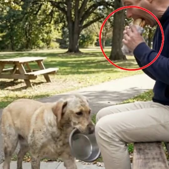  .......xplores   'recent posts' 