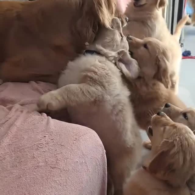  ......orable   'recent posts' 