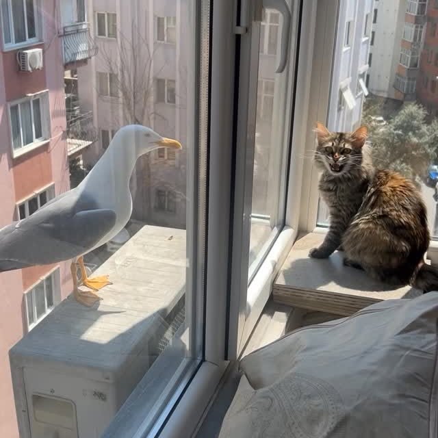  ......kekkek   'recent posts' 