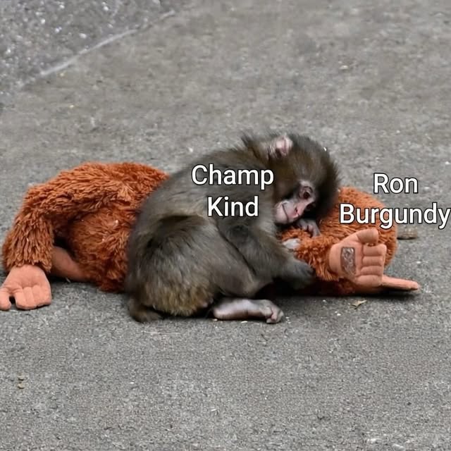  ........ndydaily   'recent posts' 