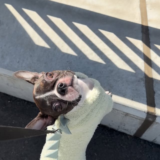  ........pizzalife   'recent posts' 