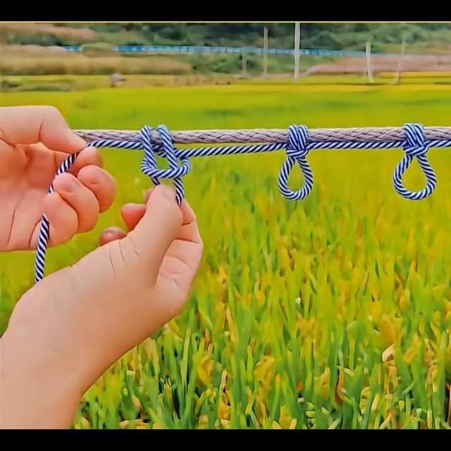  ....unkey   'recent posts' 