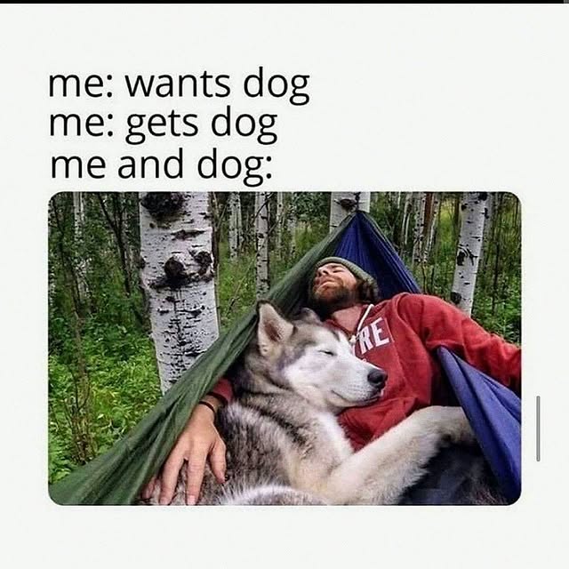  .........nuniverse   'recent posts' 