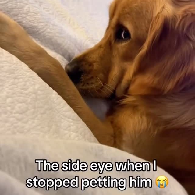  ....fday   'recent posts' 