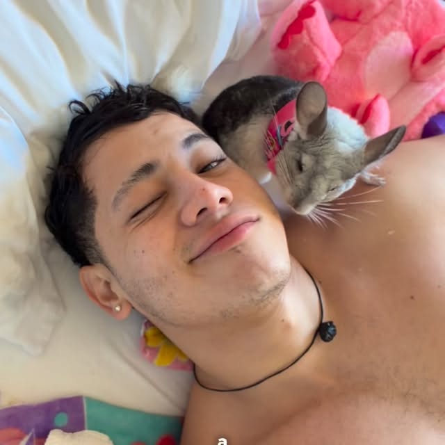  ........del_exito   'recent posts' 