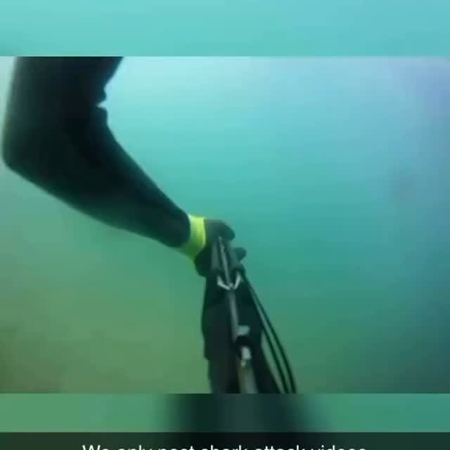  .........arkattacks   'recent posts' 