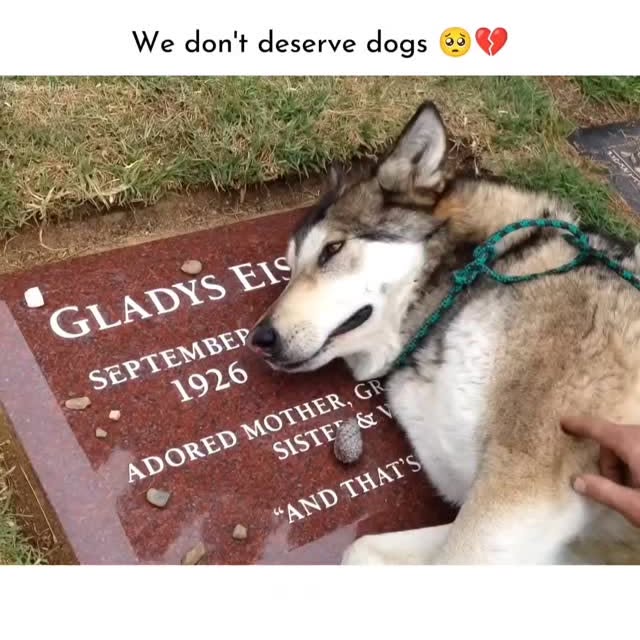  ......liimits   'recent posts' 