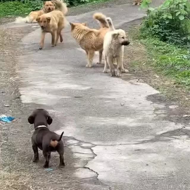  ..........fan.club_   'recent posts' 