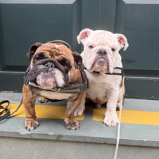  ......rwhite   'recent posts' 