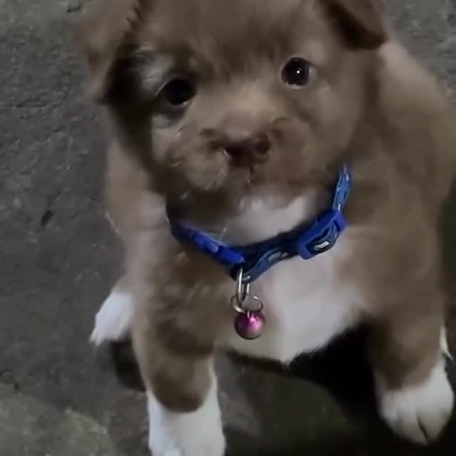  ......s.club   'recent posts' 