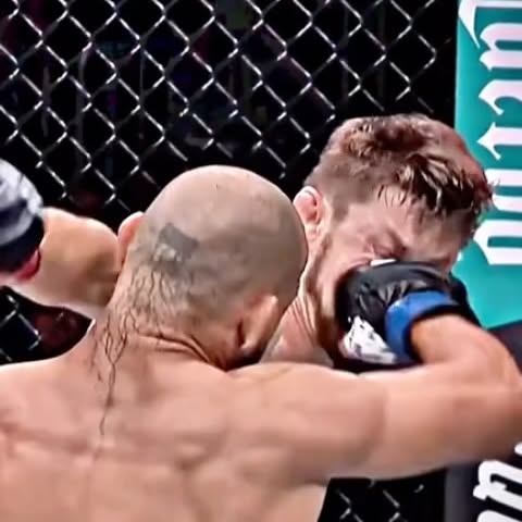  .....gcrib   'recent posts' 