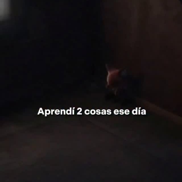  .....scine   'recent posts' 