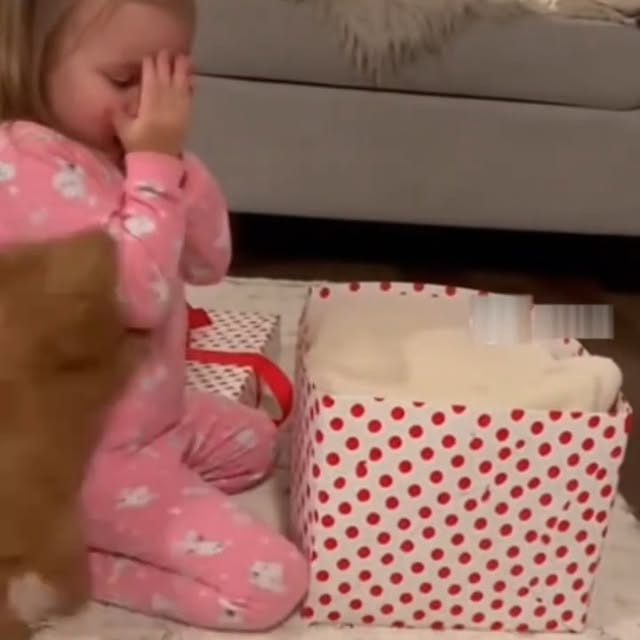  .....sland   'recent posts' 