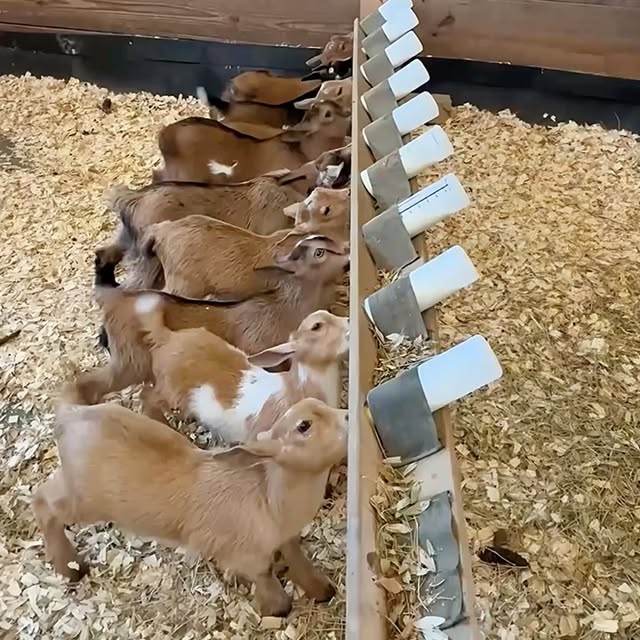  ........malsgram   'recent posts' 